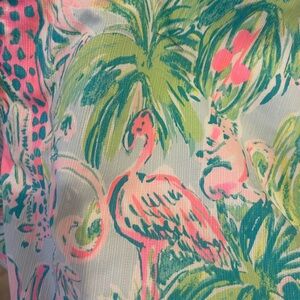 Lilly Pulitzer Pink and Green Shorts